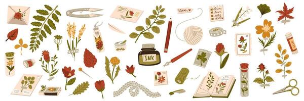 set of scrapbooking, herbarium. Tools, materials for handwork, needlework and creative hobbies. Flowers, leaves, seeds, scotch tape, ink, scissors, paper, book, envelope and more. flat collection vector