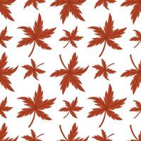 pattern is a flat illustration of an autumn leaf from a herbarium. Japanese maple. dried flower on a white background. decorative element of floral design. Herbs, leaves of plants tied. botanical vector