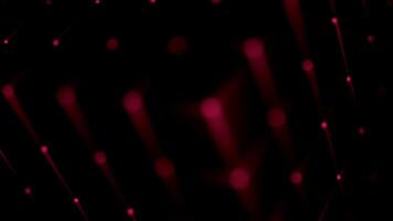 Abstract red lights on a black background video