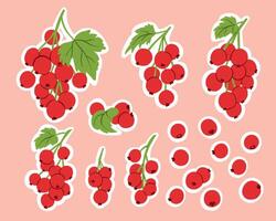 Fresh Currant Berries and Branches Stickers in Flat Style for Drinks and Desserts vector