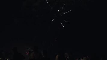 nuevo año víspera fuegos artificiales monitor en bali playas y silueta de personas celebrando eso en lento movimiento video