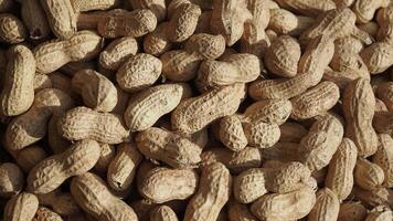 top view of Several peanuts in a basket. video