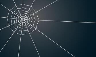 Geometric White Spiderweb on Black vector