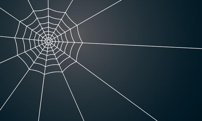 Geometric White Spiderweb on Black