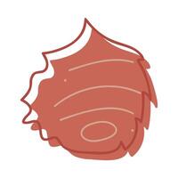 One seashell color. Doodles clip art for your projects. vector