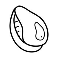 Doodle one seashell in white and black. Clip art for your projects. vector