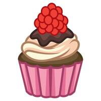 Delicious chocolate cupcake with raspberry vector