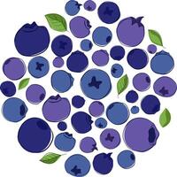 Blueberries with leaves round circle composition isolated on white background. Graphic line illustration for logo vector