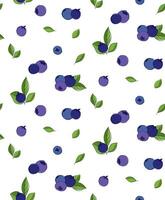 Seamless pattern of blueberries and leaves on transparent background. For fabric, wallpaper, wrapping paper, card vector