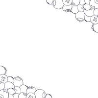 Berries square graphic line frame. Banner of blueberries. Hand painted horizontal border for greeting card with space for text. vector