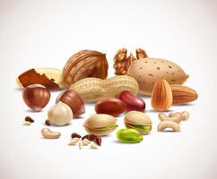 Assorted nuts composition vector