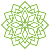 Floral Islamic Mandala with Symmetrical Patterns vector