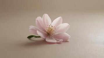 Pink rose fall at floor with a tiny light from windows background, macro view rose flower photo