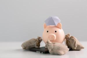 Saving money in the bank and making strategic investments in property and stock can help grow your capital while ensuring your finances remain safe. concept, account, debt, earning, income, profit photo