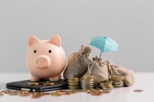 Saving money through smart investments and careful budgeting is crucial for managing finances in a business, contributing to a stable bank account and a robust economy. safe, credit, advice, balance photo