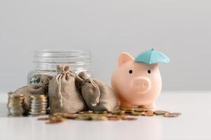 Saving money in the bank and making strategic investments in property and stock can help grow your capital while ensuring your finances remain safe. concept, account, debt, earning, income, profit photo