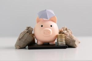 Saving money in the bank and making strategic investments in property and stock can help grow your capital while ensuring your finances remain safe. concept, account, debt, earning, income, profit photo