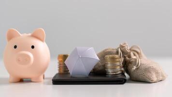 Saving money in the bank and making strategic investments in property and stock can help grow your capital while ensuring your finances remain safe. concept, account, debt, earning, income, profit photo