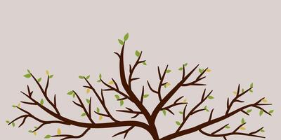 Autumn branches of trees front. Dry branches rustic plants silhouette abstract. Branch tree woods for decorative ornament, card and paper. vector