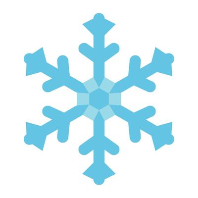 snowflake flat icon