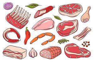 Set of various colorful meat in line art style. Sausages and cuts, ribs, steak, bacon, chicken and ham, fresh herbs, garlic and chili pepper. Perfect for culinary or butcher theme. vector