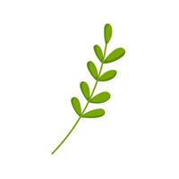 Green branch with rounded leaves in cartoon style. Simple botanical design perfect for nature themed project, eco friendly design and decorative elements. Isolated on white background. vector