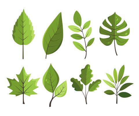 Set of gold green leaves isolated on white background. Lush foliage illustration in flat style for design, eco projects, decoration