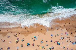 Overhead drone view of anonymous tourists and parasols on sandy shore photo