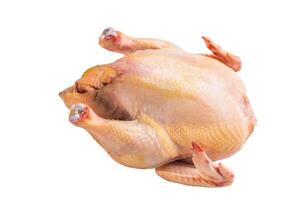 Raw eco farm chicken carcass on the cutting board isolated on white background photo