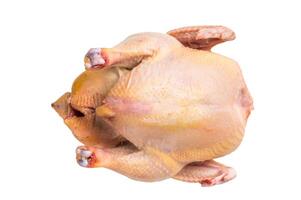 Raw eco farm chicken carcass on the cutting board isolated on white background photo