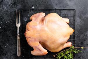 A raw whole chicken on a wire rack, ready for cooking photo