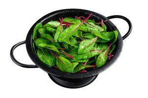 Fresh green chard mangold leaves in colander. Isolated on white background. Top view. photo