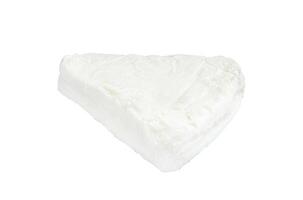 Soft goat and sheep milk cheese. Isolated on white background, top view. photo