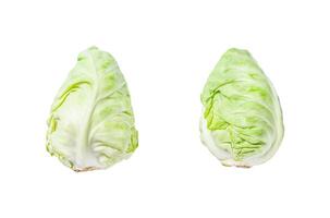 Raw Pointed white cabbage head. Isolated on white background. Top view. photo