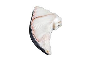 Raw Shark fish steaks Isolated on white background, top view. photo