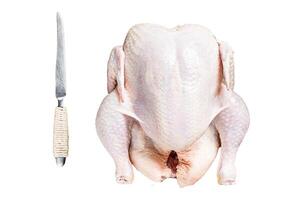 Organic chicken, raw poultry Isolated on white background, top view. photo
