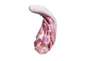 Raw beef tongue on kitchen table with herbs. High quality Isolate, white background. photo
