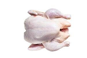 Raw free range whole chicken on a kitchen table. Isolated on white background. photo