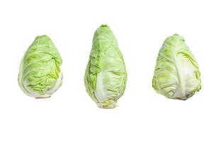 Raw Pointed white cabbage head. Isolated on white background photo