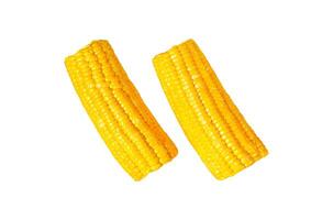 Boiled sweet corn on the cob. Isolated on white background. Top view. photo