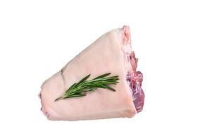 Raw Pork knuckle eisbein for cooking with herbs. High quality Isolate, white background. photo