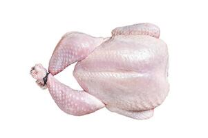 Raw chicken, poultry meat in wooden plate. Isolated on white background. photo