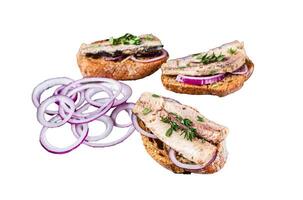 Toasts with sardine, cream cheese and onion. Isolated on white background, top view. photo