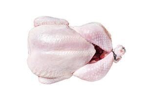 Raw chicken, poultry meat Isolated on white background, top view. photo