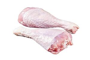 Raw turkey legs on a butcher table. Isolated, white background. photo