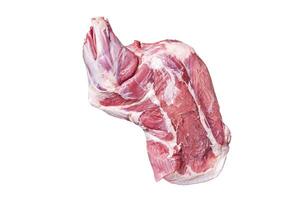 Ready for cooking lamb whole shoulder, raw leg meat on a grill pan with spices. Isolated, white background. photo