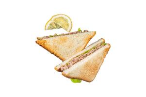 Tuna Salad Sandwich with Cheese, lettuce and herbs. Isolated, white background. photo