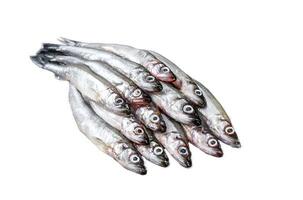 Fresh raw sea small fish smelt. Isolated on white background. Top view. photo