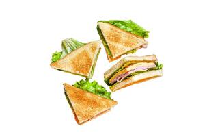 Toasted Club sandwiches with pork ham, cheese, tomatoes and lettuce Isolated on white background, Top view. photo