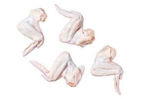 Raw chicken wings, organic poultry meat. Isolated on white background. Top view. photo